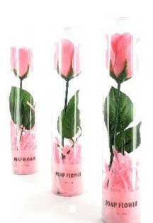 S&aring;peblomst (12 stk.)