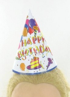 PARTYHATTER (12 stk.)