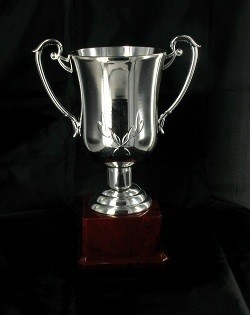 S&oslash;lvpokal Stor - Trof&eacute; til Vinnere