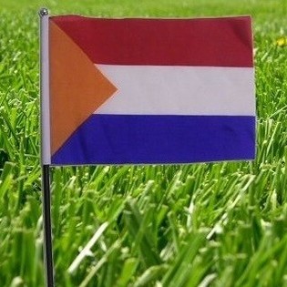 Nederlandsk Flagg (22 stk)