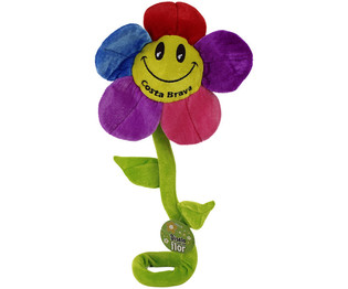 Stor plysjblomst, 60 cm - Costa Brava (27 stk)